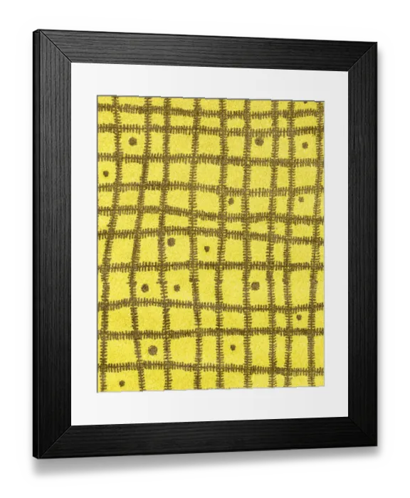 Framed Print : Pattern Framed Print : Pattern