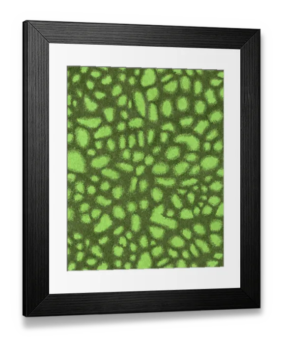 Framed Print : Pattern Framed Print : Pattern
