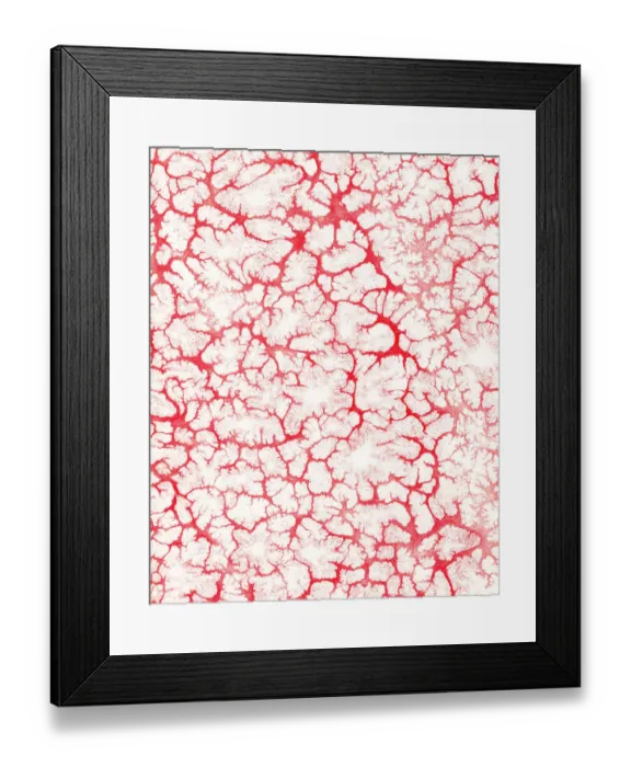 Framed Print : Pattern Framed Print : Pattern
