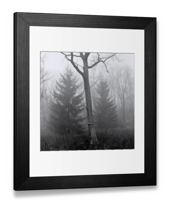 Framed Print : Tree with sign on its trunk Framed Print : Tree with sign on its trunk