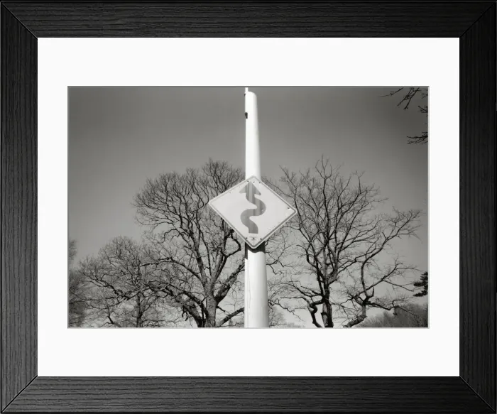 Framed Print : Road sign indicating curves Framed Print : Road sign indicating curves