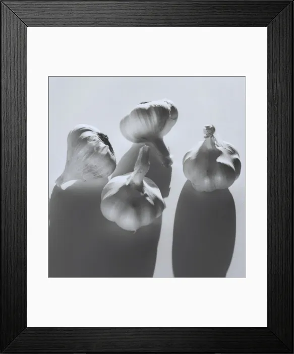 Framed Print : Garlic bulbs Framed Print : Garlic bulbs