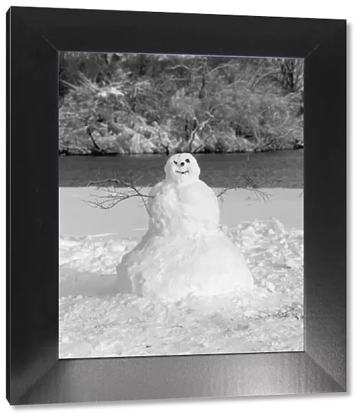 Snowman in winter landscape