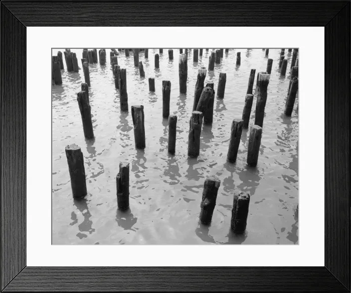 Framed Print : Wooden pilings in water Framed Print : Wooden pilings in water