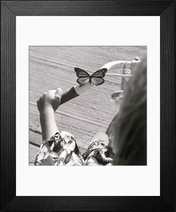 Framed Print : Girl with a butterfly on bicycle Framed Print : Girl with a butterfly on bicycle