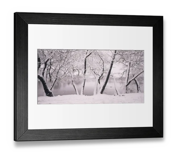 Framed Print : Snow covered trees Framed Print : Snow covered trees