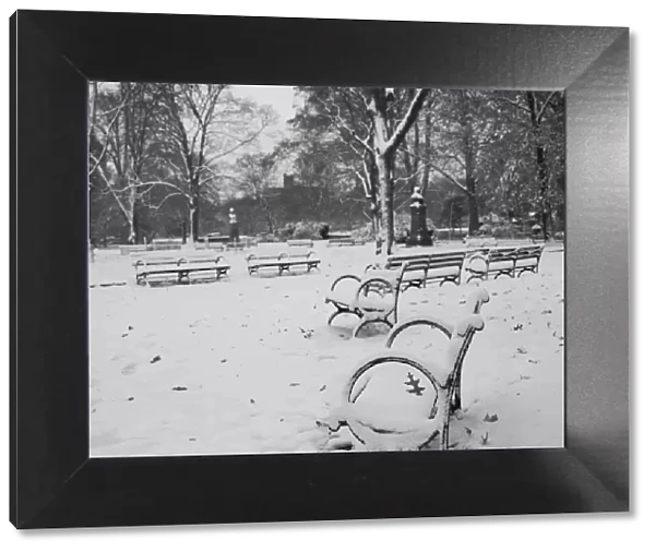 Snow covered benches in Prospect Park, Brooklyn, New York