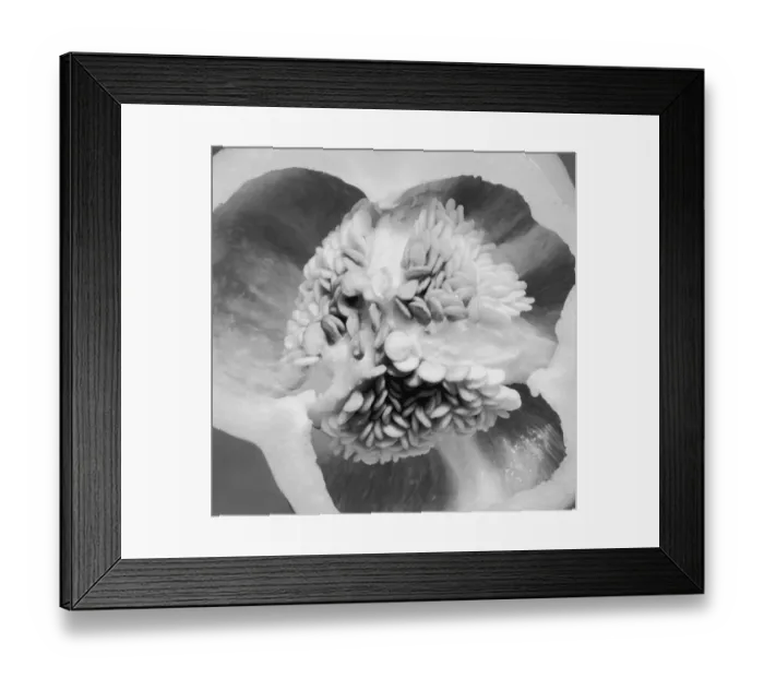 Framed Print : Pepper. circa 1955: A close-up of clusters of seeds in a cross-section of a bell pepper Framed Print : Pepper. circa 1955: A close-up of clusters of seeds in a cross-section of a bell pepper