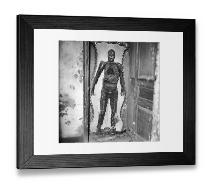 Framed Print : Petrified Veins Framed Print : Petrified Veins