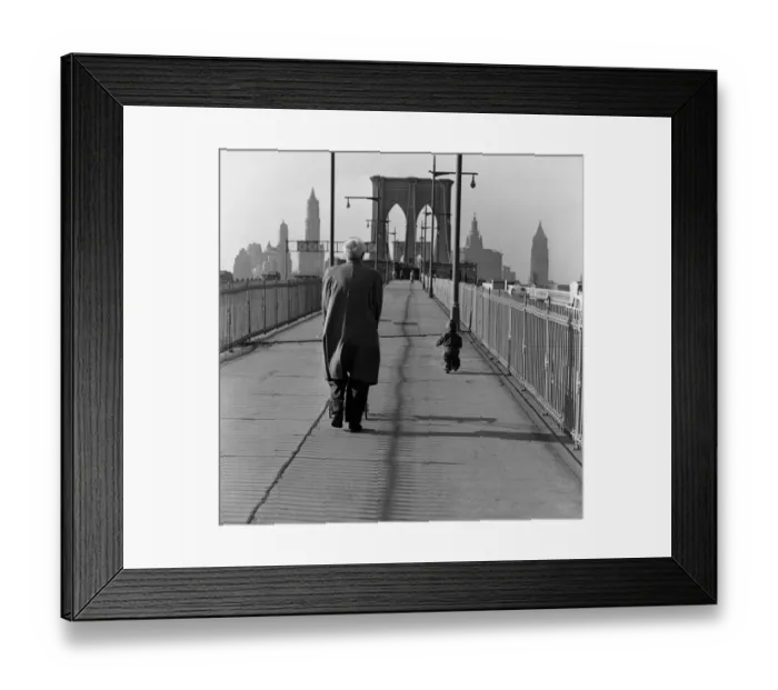 Framed Print : Taking A Stroll Framed Print : Taking A Stroll