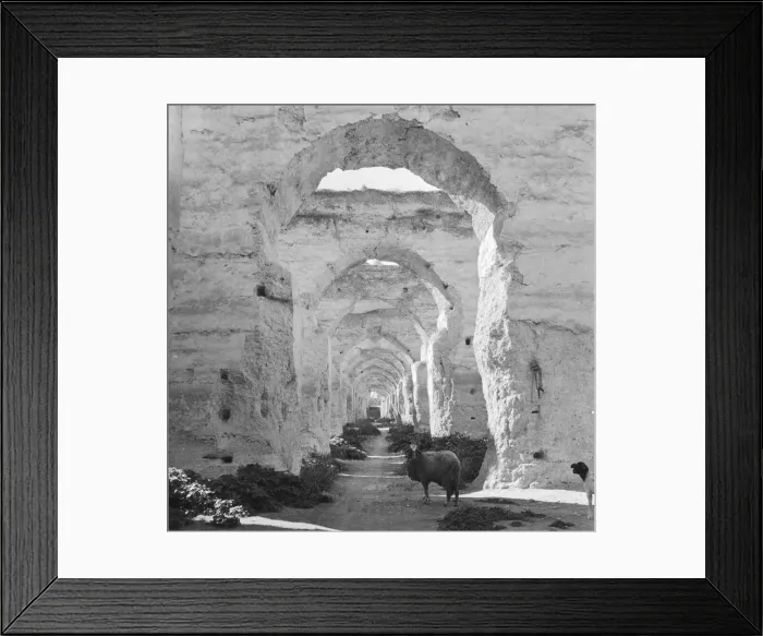 Framed Print : Meknes Ruin
