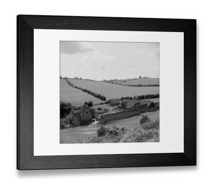 Framed Print : Green Fields Framed Print : Green Fields