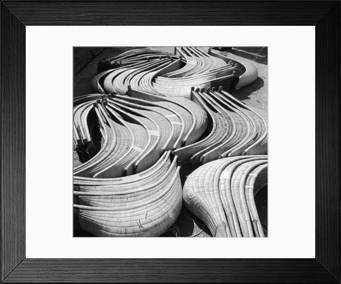 Framed Print : Cestas. circa 1950: Basket-like cestas which are worn on the hand to catch Framed Print : Cestas. circa 1950: Basket-like cestas which are worn on the hand to catch