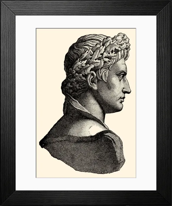 Framed Print : JULIUS CAESAR Framed Print : JULIUS CAESAR