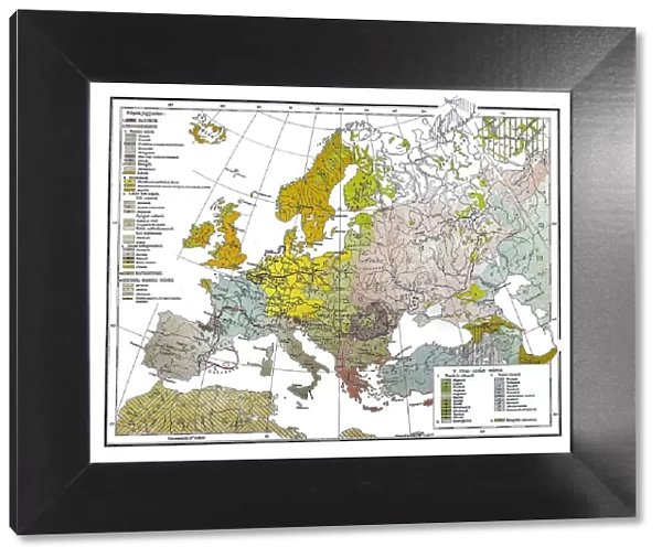Ethnographic map of Europe in 19th century