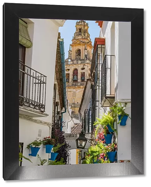 Calleja de las Flores and Old Torre del Alminar Bell Tower, Mezquita, Cordoba, Andalusia