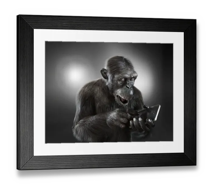 Framed Print : Chimpanzee with a smartphone Framed Print : Chimpanzee with a smartphone