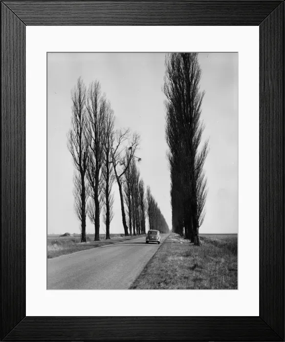 Framed Print : Tourist Traffic Framed Print : Tourist Traffic