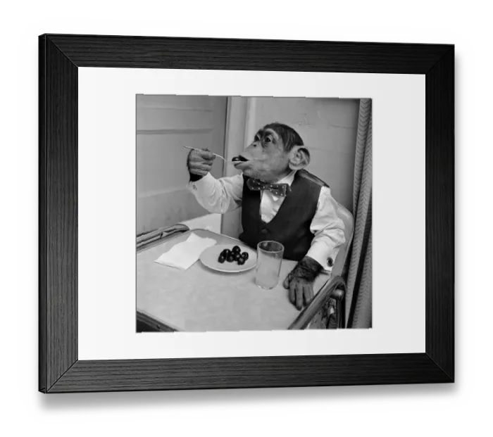 Framed Print : Cherry Chimp Framed Print : Cherry Chimp