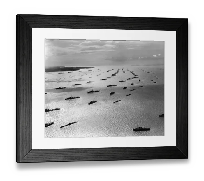 Framed Print : Naval Review Framed Print : Naval Review
