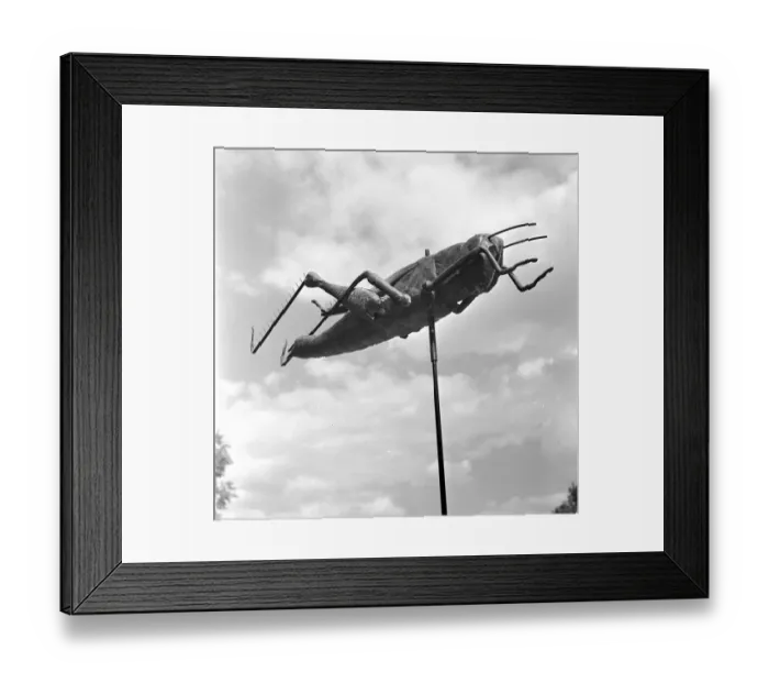 Framed Print : Follow The Wind Framed Print : Follow The Wind