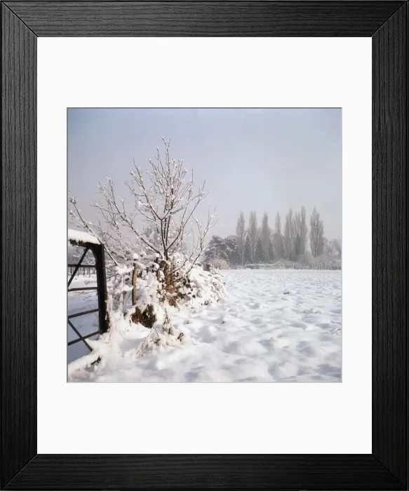 Framed Print : Snowy Scene Framed Print : Snowy Scene