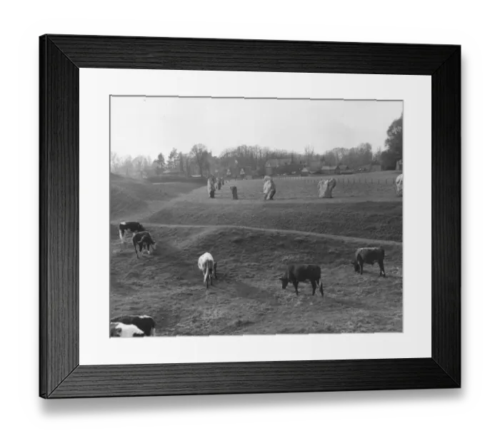 Framed Print : Avebury Stones Framed Print : Avebury Stones