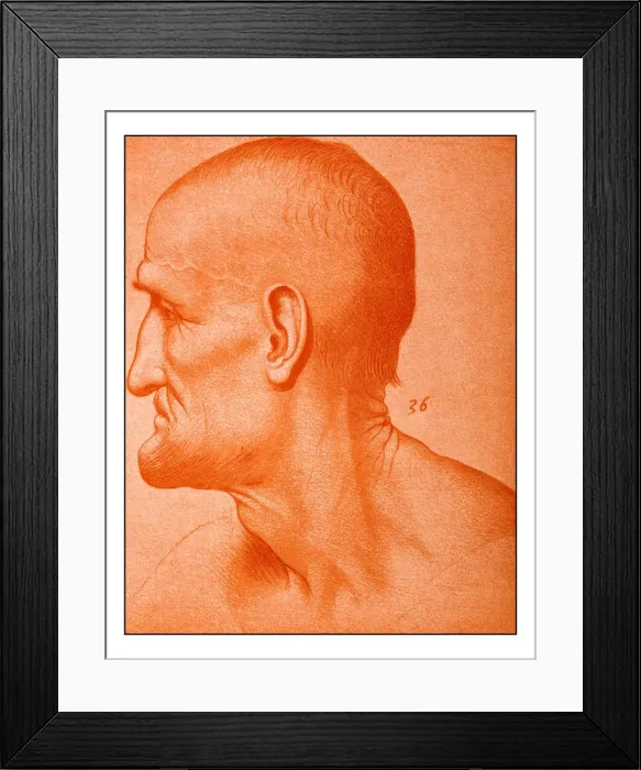Framed Print : Leonardos sketches and drawings: The last supper, apostle