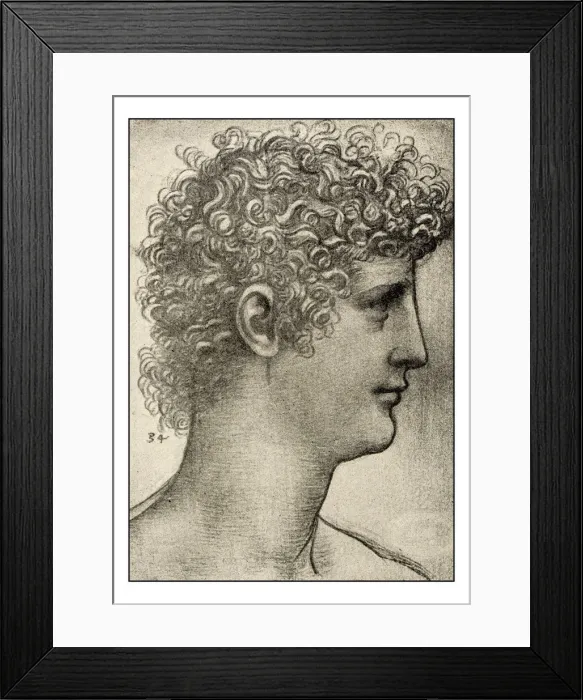 Framed Print : Leonardos sketches and drawings: The last supper, apostle Framed Print : Leonardos sketches and drawings: The last supper, apostle