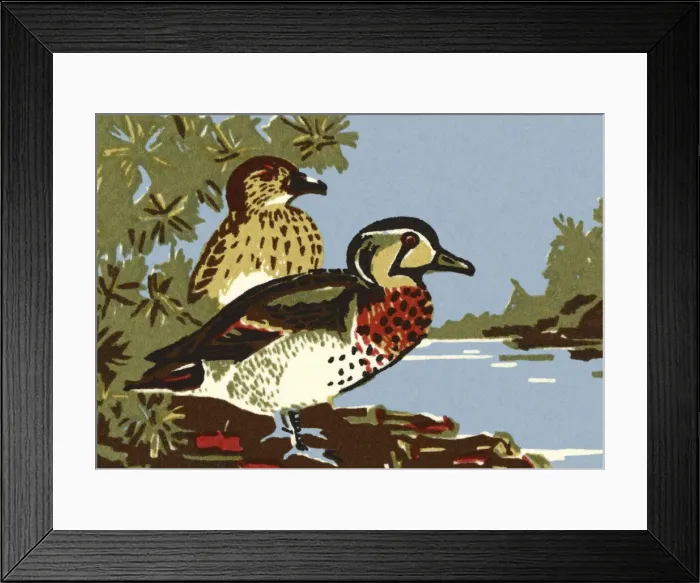 Framed Print : Two Ducks Standing by Water Framed Print : Two Ducks Standing by Water
