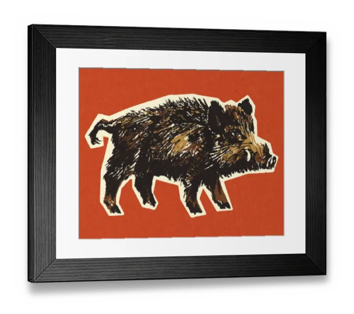 Framed Print : Wild Boar Framed Print : Wild Boar