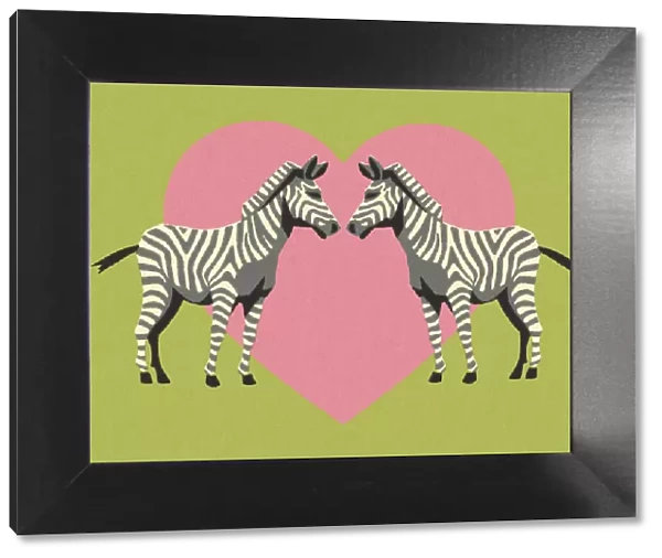 Two Zebras Over a Pink Heart