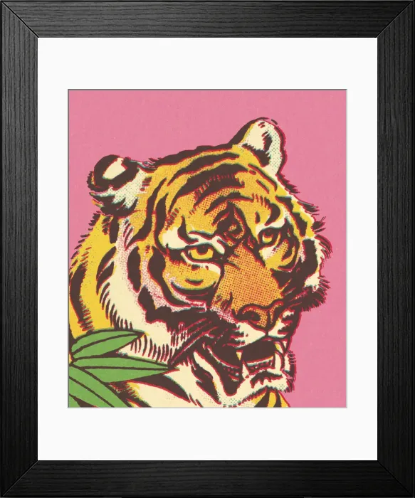 Framed Print : Tiger Framed Print : Tiger