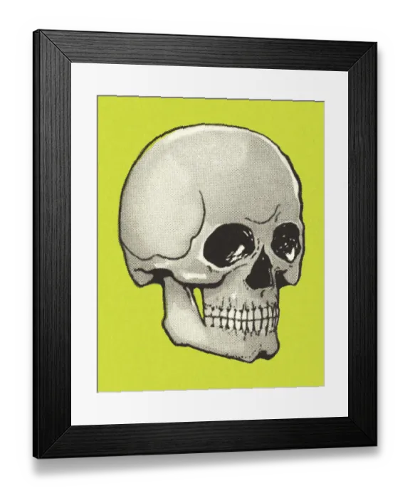 Framed Print : Skull Framed Print : Skull