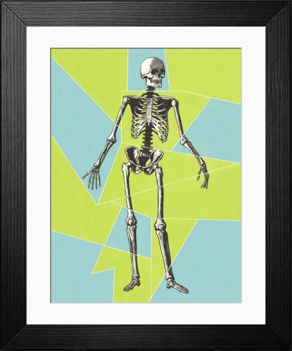 Framed Print : Skeleton Framed Print : Skeleton