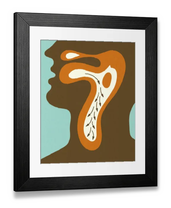 Framed Print : Diagram of Swallowing