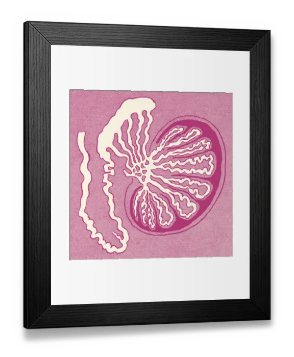 Framed Print : Cell Biology Framed Print : Cell Biology