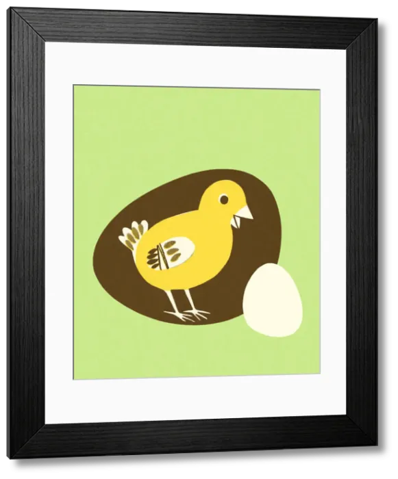 Framed Print : Chick and an Egg