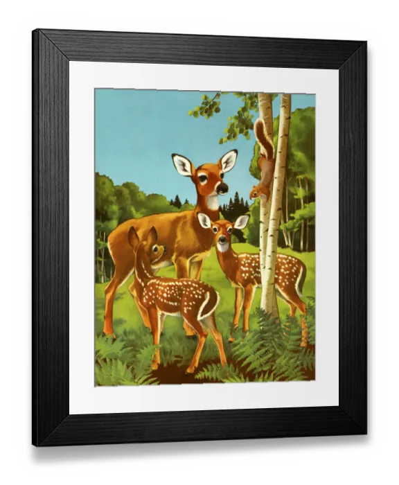 Framed Print : Doe and Two Fawn Framed Print : Doe and Two Fawn