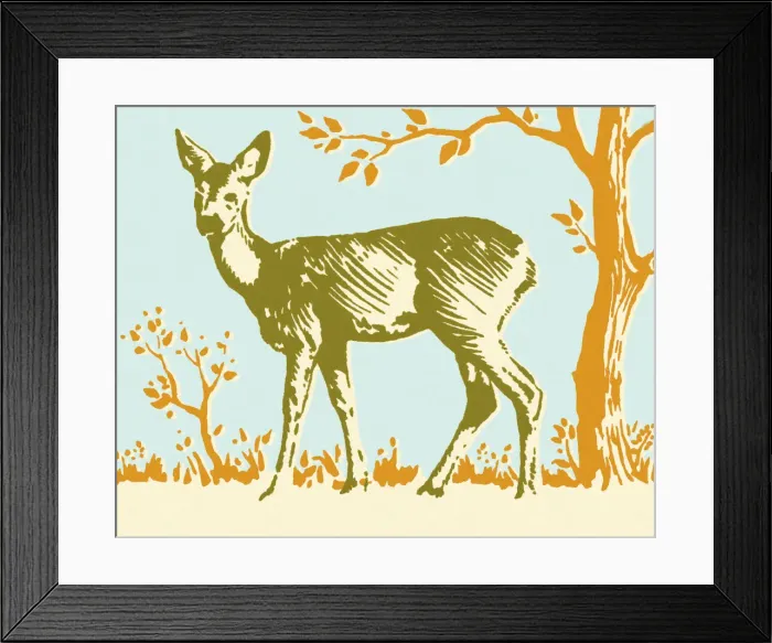 Framed Print : Deer Framed Print : Deer