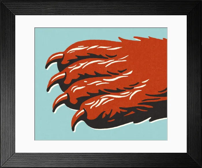 Framed Print : Animal Paw with Claws