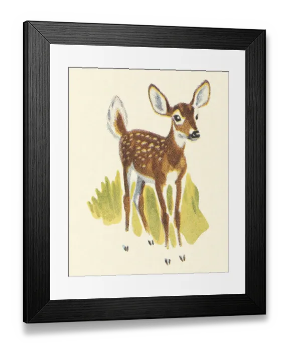 Framed Print : Fawn Framed Print : Fawn