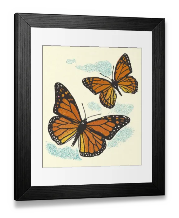 Framed Print : Two Butterflies Framed Print : Two Butterflies