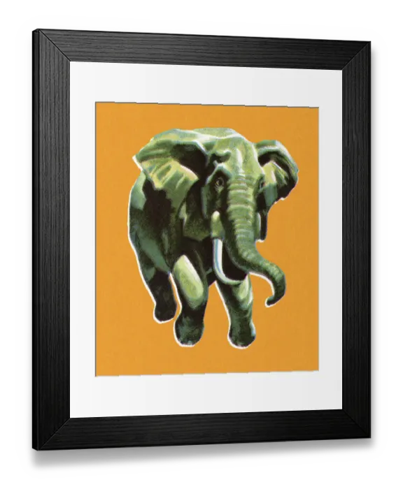 Framed Print : Elephant