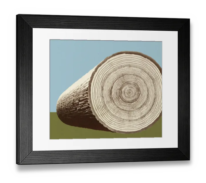 Framed Print : Cross Section of a Log Framed Print : Cross Section of a Log