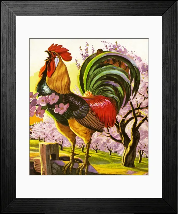 Framed Print : Rooster Framed Print : Rooster