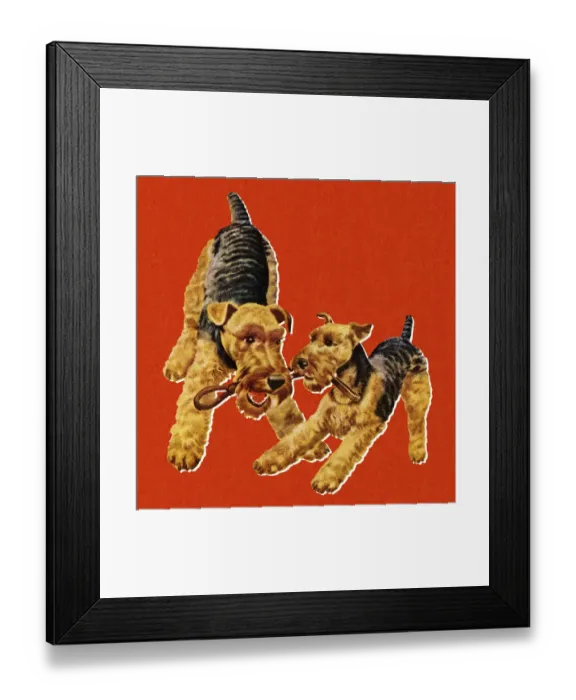 Framed Print : Two Dogs Playing with a Leash