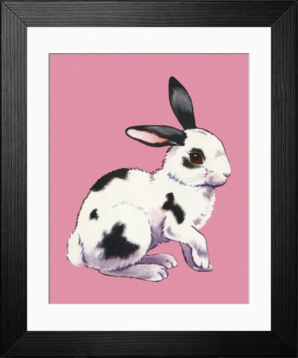 Framed Print : Rabbit Framed Print : Rabbit