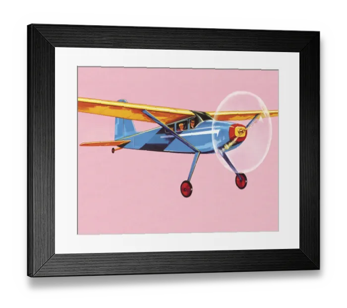 Framed Print : Small Airplane Framed Print : Small Airplane