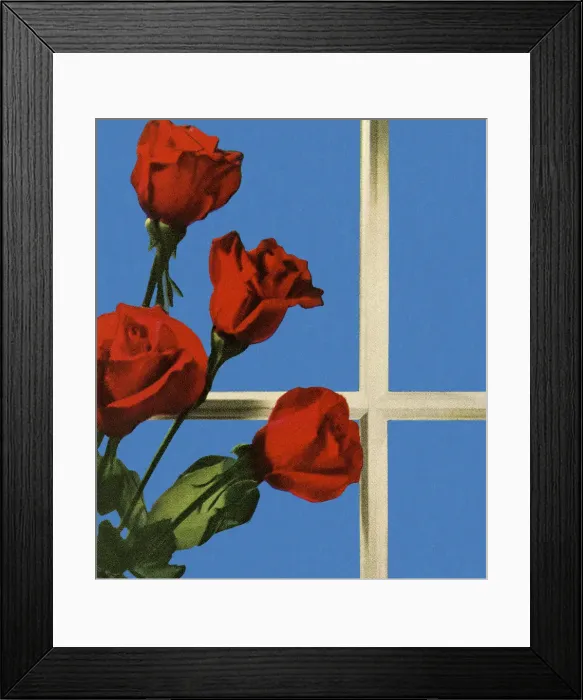 Framed Print : Four Red Roses Framed Print : Four Red Roses